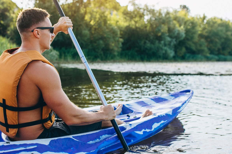 Al Khor: Kajakpaddling i mangroveskogen