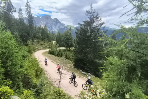 Salzkammergut: Guided e-bike tour to the alpine pastures in Gosau and Hallstatt