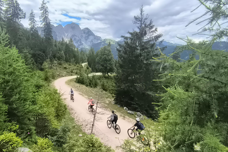 Salzkammergut: Guided e-bike tour to the alpine pastures in Gosau and Hallstatt