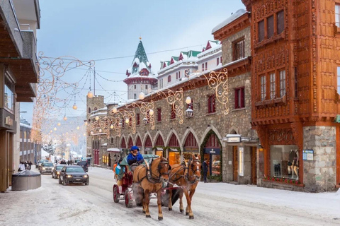 UNESCO Rhaetian Railway: Viaduct, Train Museum, St. Moritz Group of 8 Excluding Train Tickets