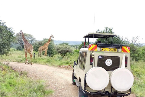 SAFARI BUDGET DE 3 JOURS DANS LE MAASAI MARA EN 4X4 LAND CRUISER