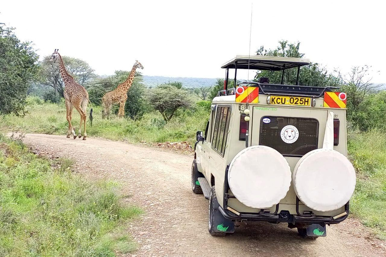 SAFARI BUDGET DE 3 JOURS DANS LE MAASAI MARA EN 4X4 LAND CRUISER