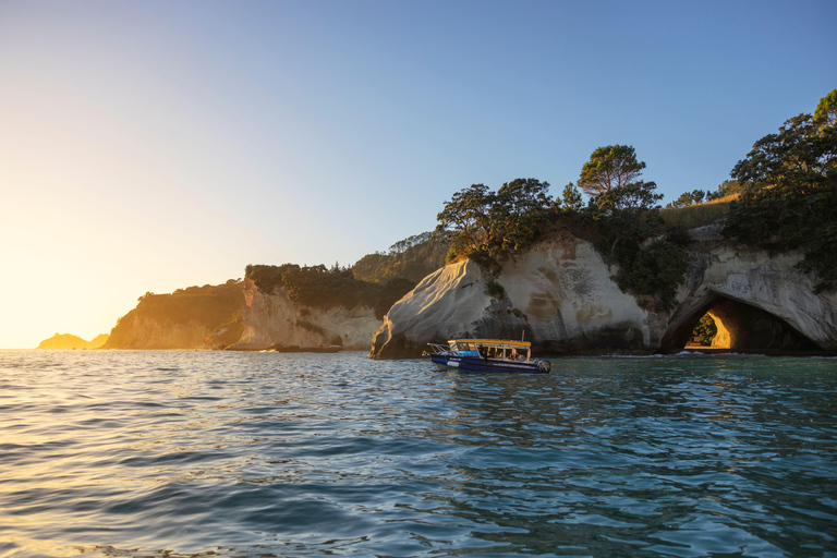 COROMANDEL CATHEDRAL COVE &amp; DRIVING CREEK - PRYWATNA WYCIECZKA CAŁODNIOWA