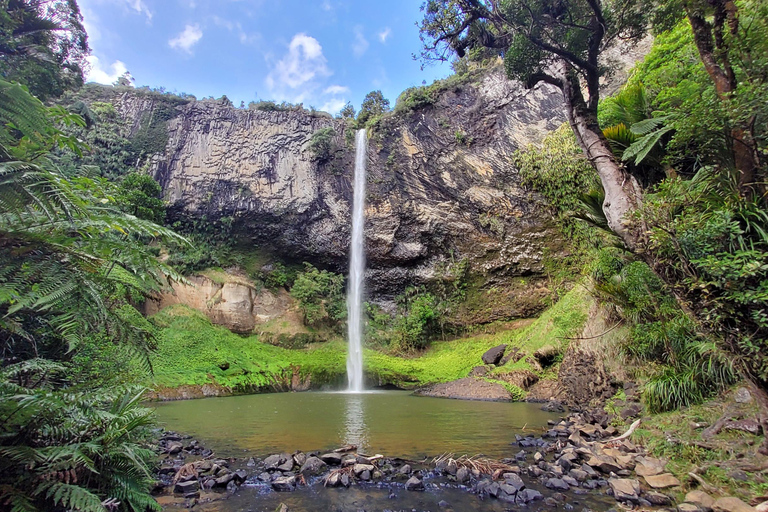 Nueva Zelanda: Ruta guiada de 26 días por la Isla Norte con acampada