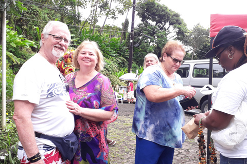 Shared Tour: Annandale Waterfall, Fort & Beach Escape