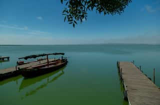 Valencia: Private Rad- und Bootstour in der Albufera-Lagune