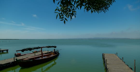 Valencia: Albufera Lagoon Private Bike and Boat Tour