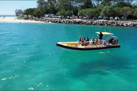 Noosa Ocean Tour et Dolphin Safari. Offres spéciales pour les familles