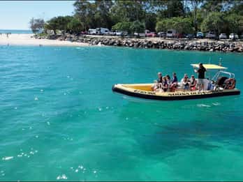 Noosa Ocean Tour & Dolphin Safari. Family specials