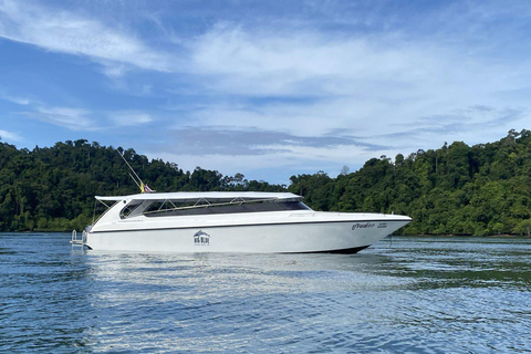 Phuket/Khao Lak: Similan Scuba Dive Day Trip by Speedboat MV Wave Rider | Koh Bon Premium 2-Dive