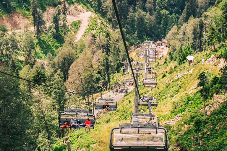 Tbilisi: Borjomi & Bakuriani Ski Resort Alpine Coaster Tour