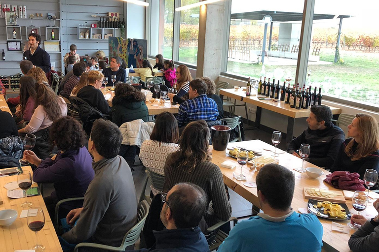 Aranda de Duero: Martín Berdugo Winery - Tour and Tasting