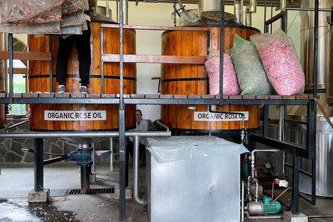 Sofia:The Highlights of Bulgaria - Rose Valley and Buzludzha