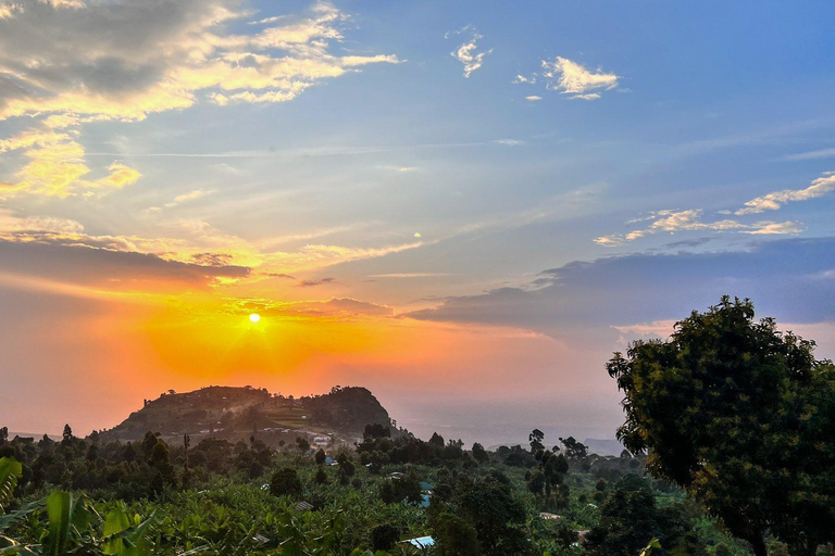 From Kampala: Jinja, Sipi Falls, and Coffee Tour with city