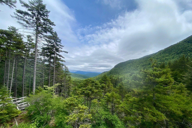 Boston Fall Day Trip to White Mountains, Lost River Gorge