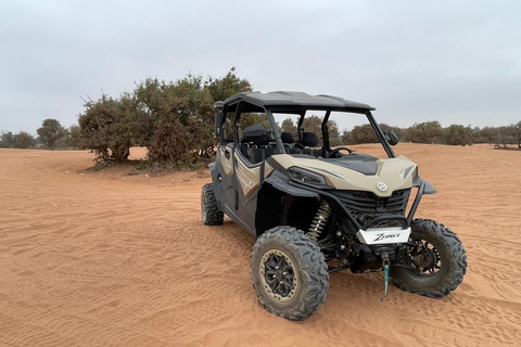 Agadir: Family 4-Seater Buggy Forest Safari
