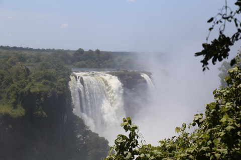 Visite privée des chutes Victoria avec déjeuner et vol en hélicoptère