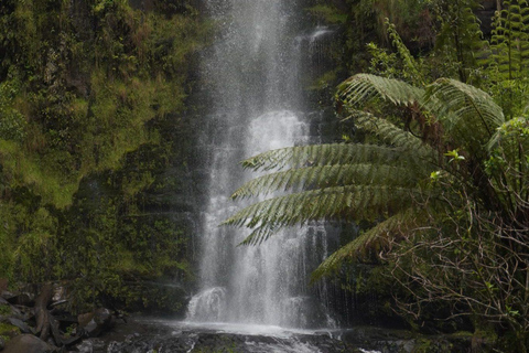 2-Day Private Premium Great Ocean Road Tour