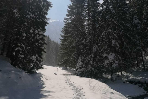 从布拉索夫出发：克拉乌利石雪鞋徒步之旅从布拉索夫出发：克拉乌利石雪鞋之旅