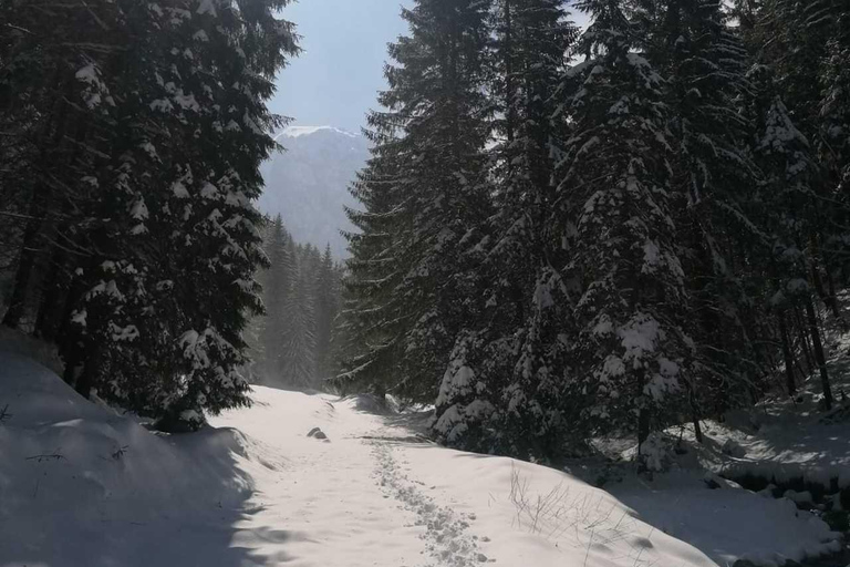 从布拉索夫出发：克拉乌利石雪鞋徒步之旅从布拉索夫出发：克拉乌利石雪鞋之旅