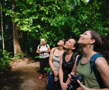 Parco Nazionale del Corcovado: Pernottamento alla Stazione Sirena - 2 Giorni