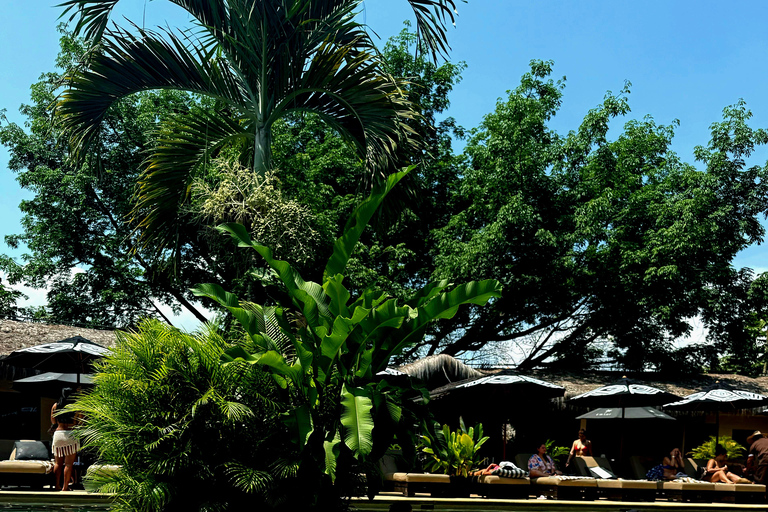 Medellín: Chocolate Tour + Day in the Sun
