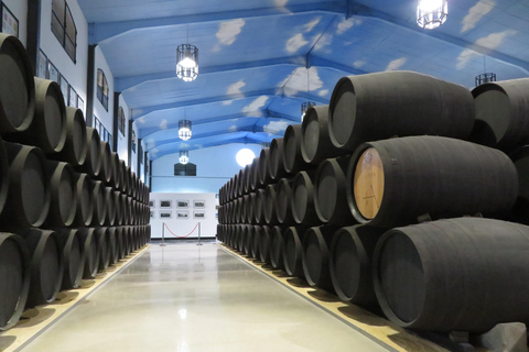 Jerez: PREMIUM visit to Bodegas Páez Morilla