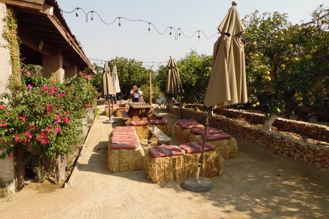 Ensenada: Guadalupe Valley Wine Route Private Tour