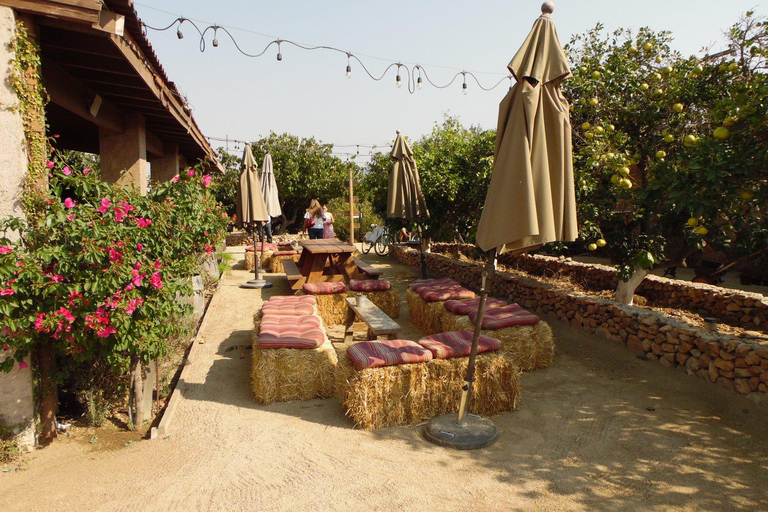 Ensenada: Guadalupe Valley Wine Route Private Tour