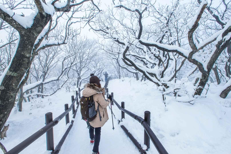 From Seoul: Suwon Hwaseong and Deogyusan Winter Tour Hongik Univ Station Exit 4