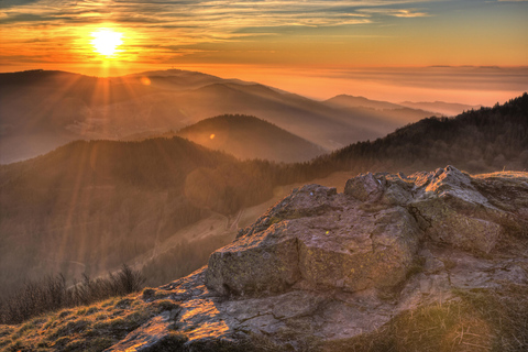 From Basel: Day trip Black Forest culture and indulgence