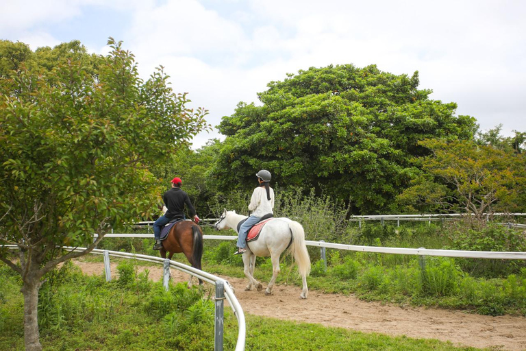 Jeju: All Pass Save on Attractions & Experiences (24/48/72h) Mobile pass · 48-hour