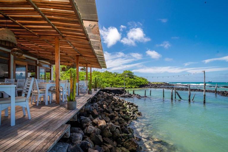 Galápagos: Christmas Eve Dinner with Live Music