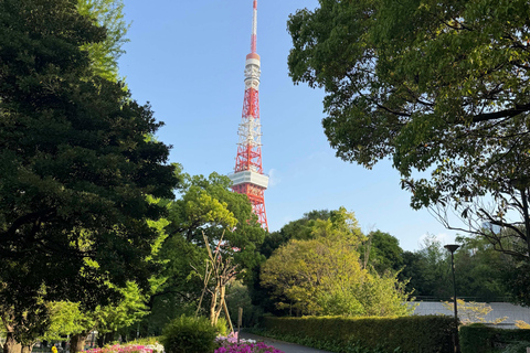 Tokyo: Customizable, Enjoyable and Memorable Private Tour
