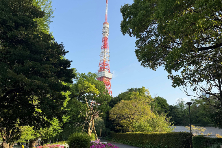 Tokyo: Customizable, Enjoyable and Memorable Private Tour