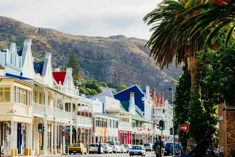 Cape Town: Cape Peninsula Jeep Safari Adventure