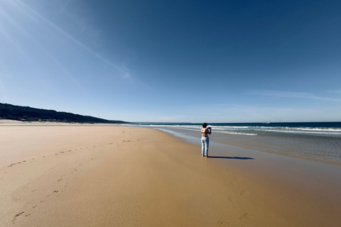Maputo in 4 days: Elephant Safari, Marine Safari, and Beach Maputo in 4 Days: Elephant Safari, Marine Safari, and Beach