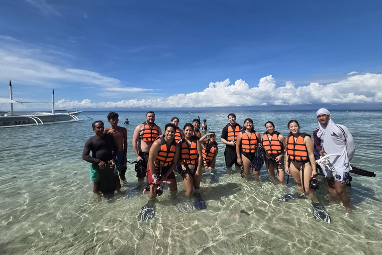 Cebu: Moalboal Island Hopping Paradise, Sardines Run