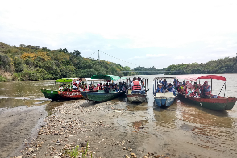 NEIVA: Achira Route: walk along the Magdalena River and achira workshop