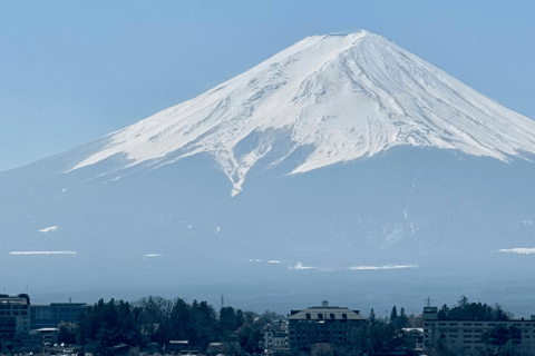 Mount Fuji Full-Day Private Tour from Tokyo (Customizable) Luxury Toyota Crown or SAI