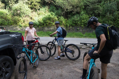 Mexico City: Bike Ride in the Lions Desert