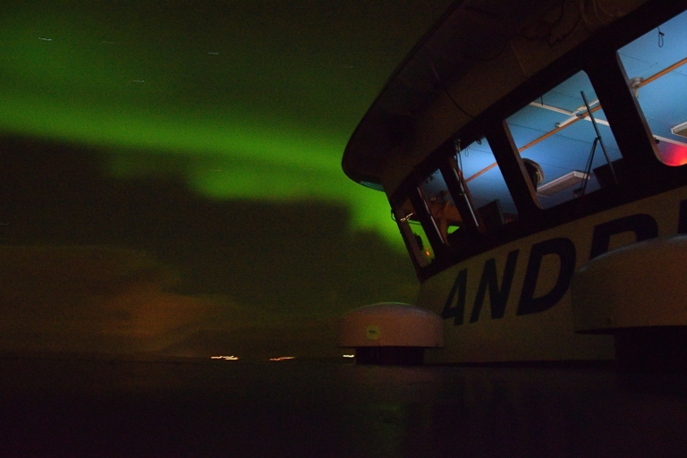 Reykjavík : aurores boréales en bateau