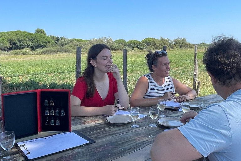 Montpellier : Journée complète Sable de Camargue