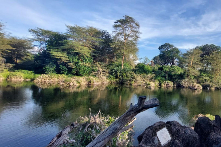 Safari a los Santuarios de Tsavo Este y Tsavo Oeste