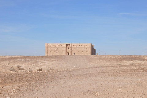 Amman: Desert Castles Shaumari Wildlife Private Day Trip