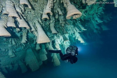 Von Cancun aus: Kin Ha &amp; Hell&#039;s Bells Cenote TaucherlebnisTaucherfahrung