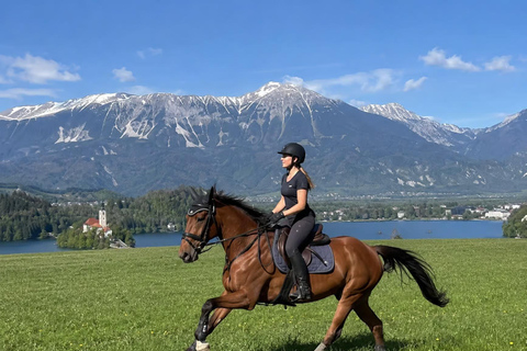 Lake Bled: Scenic Horseback Ride in the Julian Alps