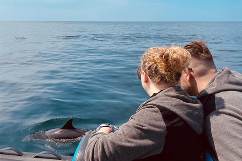 Sesimbra: Tour in barca per l&#039;osservazione dei delfini di Arrábida con biologoSesimbra: Tour in barca con biologo per l&#039;osservazione dei delfini di Arrábida