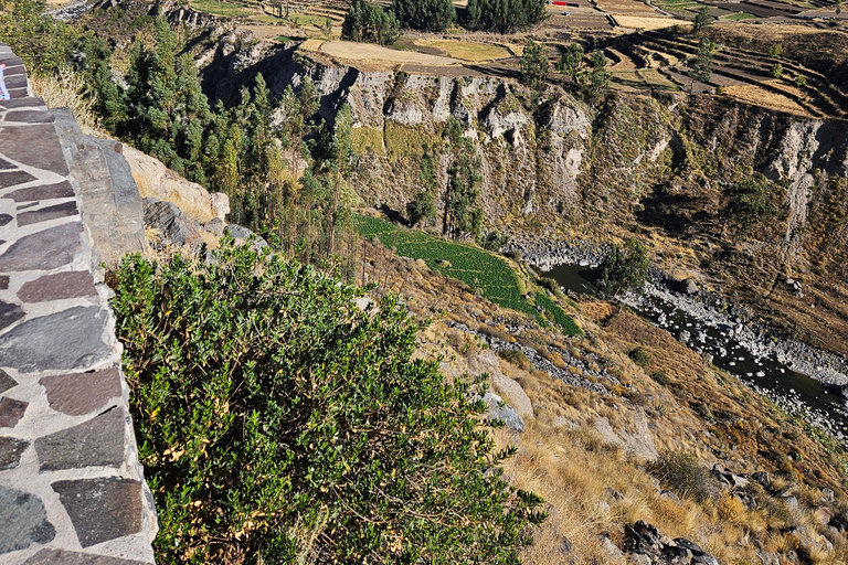 From Puno: Colca Canyon Expedition, Ending in Arequipa