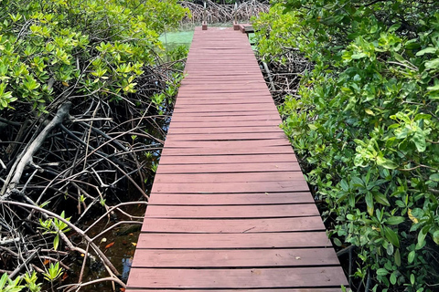 Aruba: Snorkeling and Beach Boat Tour with Lunch and Openbar